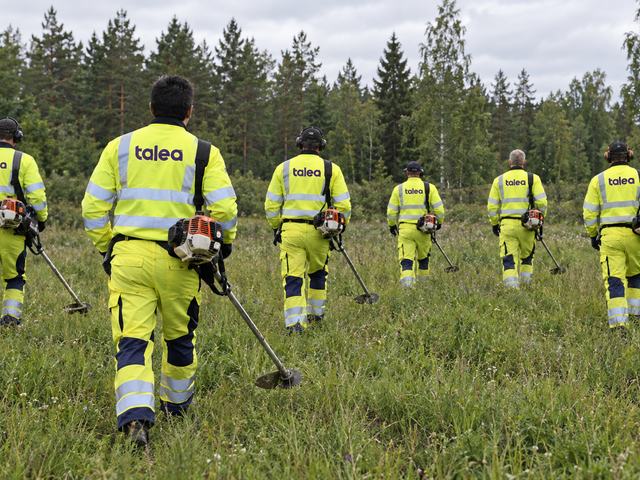Slyröjare från Talea i varselkläder går med röjsågar över en äng vid skogskanten