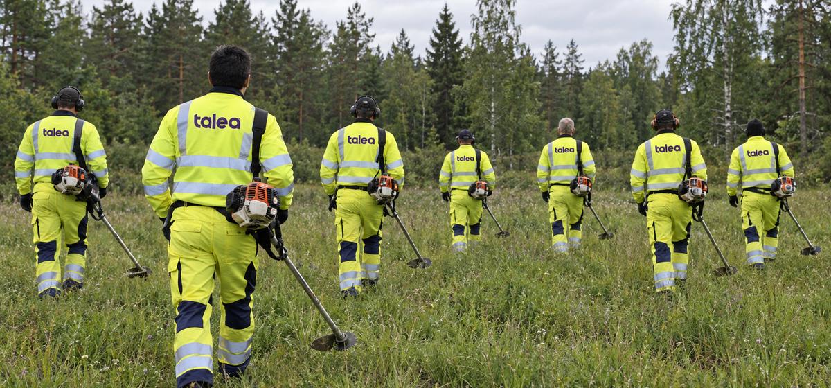 Taleas röjare i varselkläder går med röjsågar över en äng