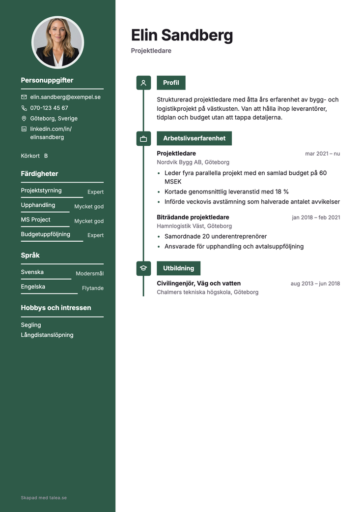 CV i mallen Krets — färdighetssektion med system och verktyg utskrivna
