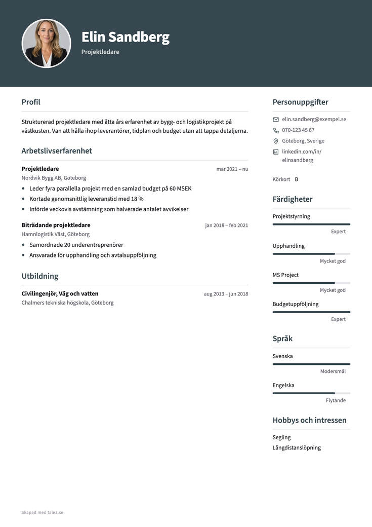 CV anpassat för bemanningsuppdrag — mallen Professionell