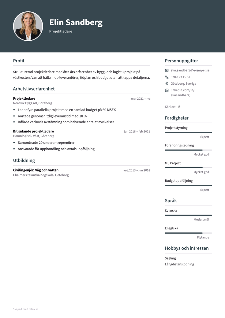 Gratis CV-mall Professionell – hela A4-sidan